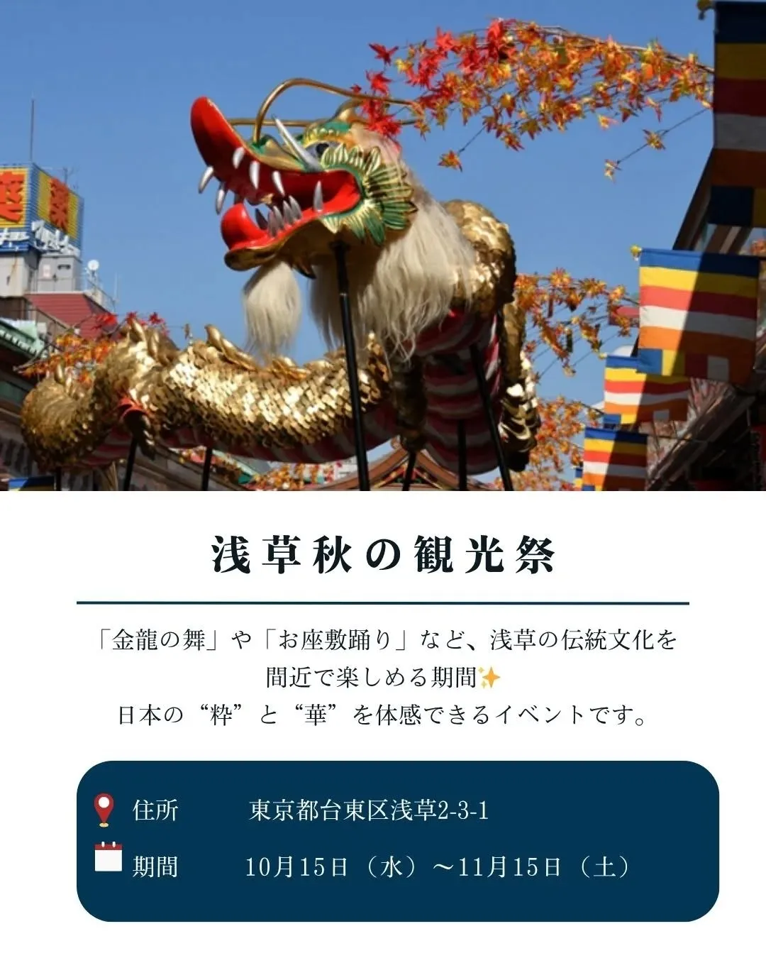 秋の浅草を彩る幻想的な光景✨